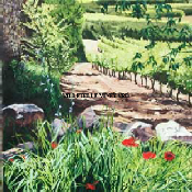 Villetelle Vineyard