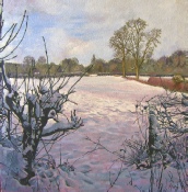 Snow Fields Of Mells