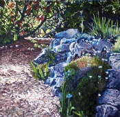 The Rockery